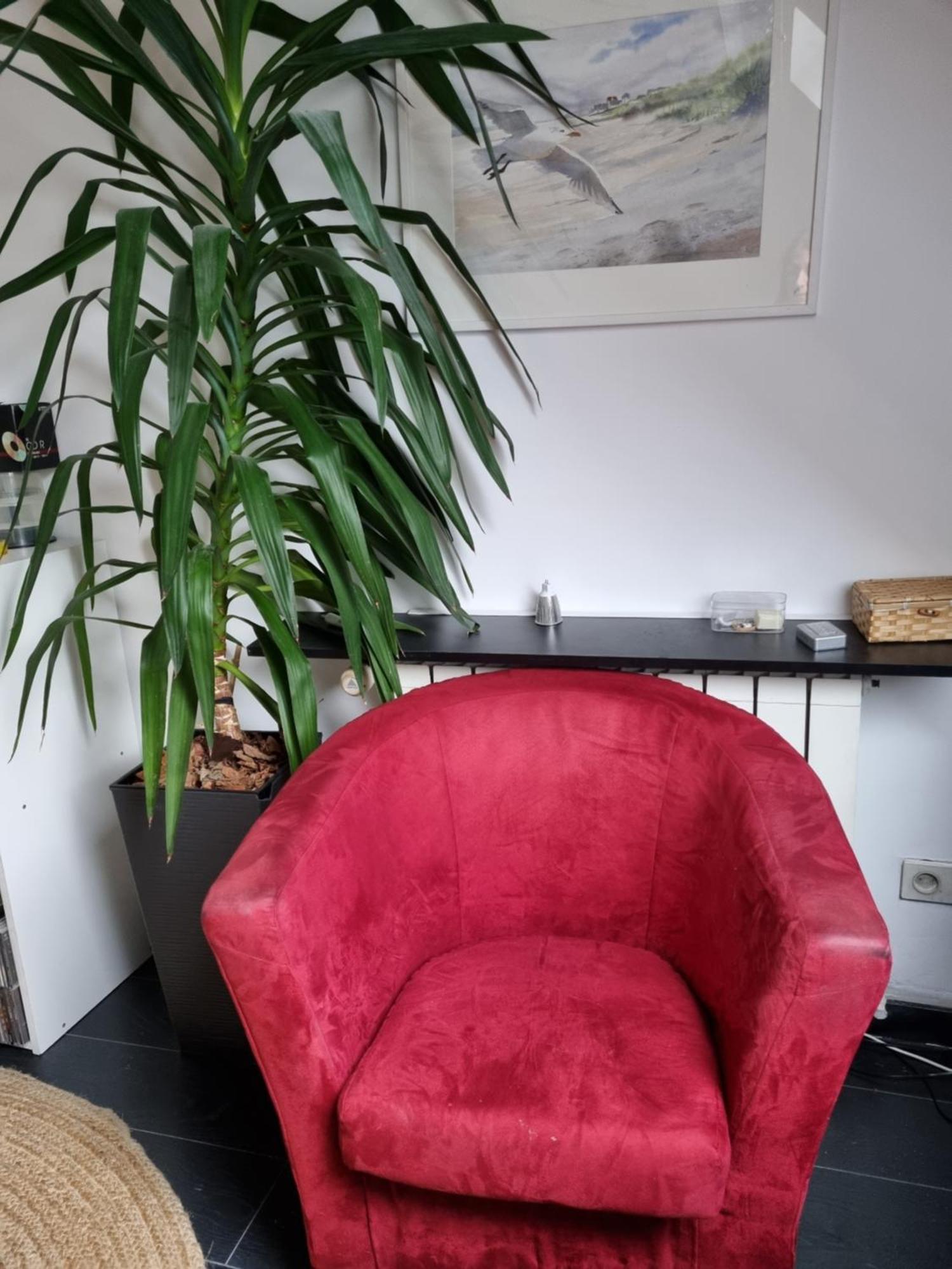 Belle Maison D'Art Verdoyante & Jardin Saint-Remy-les-Chevreuse Room photo